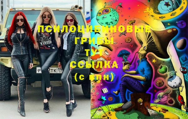 ПСИЛОЦИБИНОВЫЕ ГРИБЫ Абинск